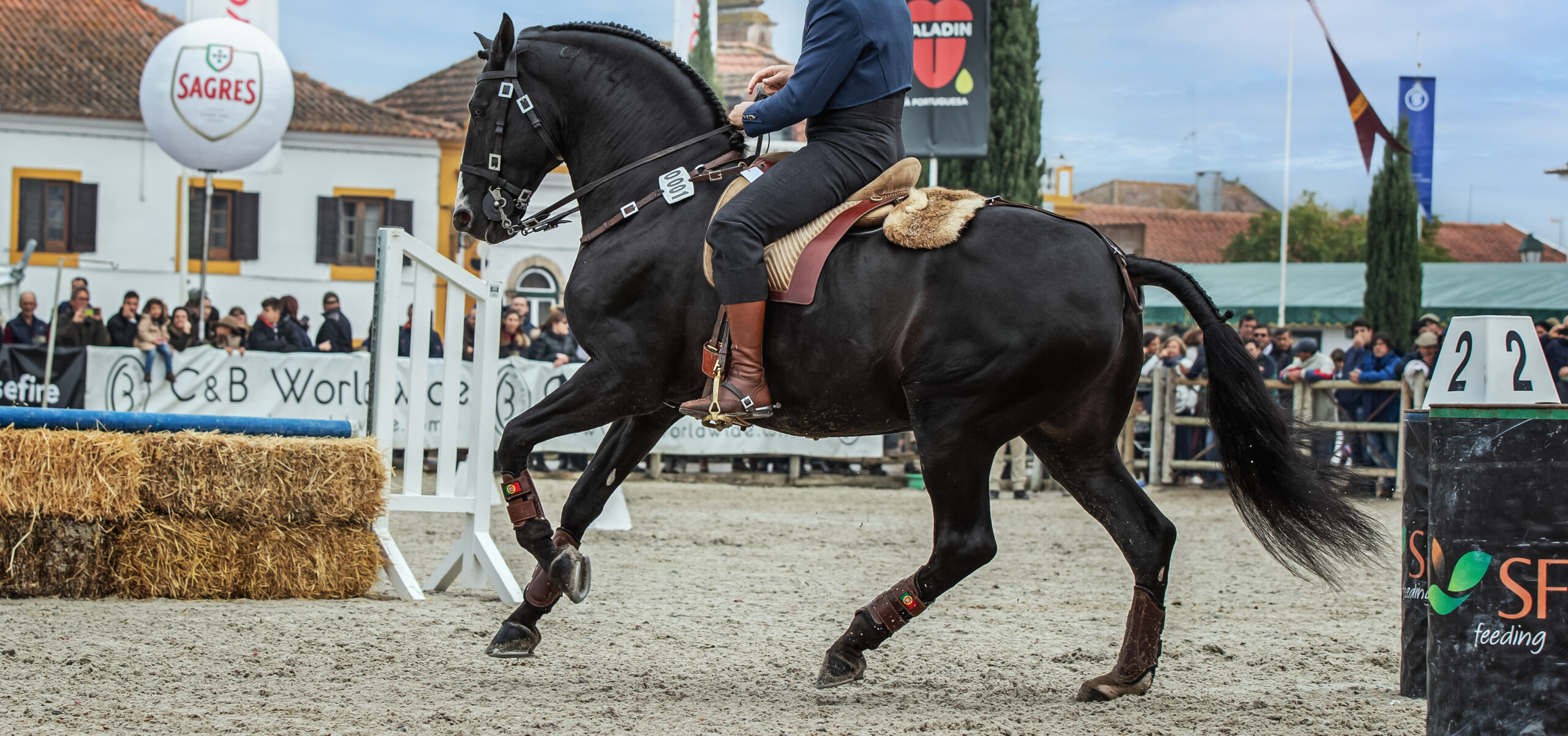 Tag des Iberischen Pferdes